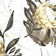 Tessuto di cotone - fiore di protea, oro