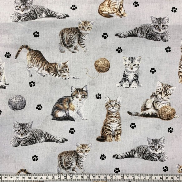 Tessuto di cotone - Zampe di gatti e filato su grigio chiaro