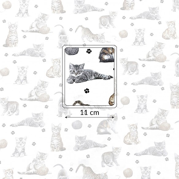 Tessuto di cotone - Zampe di gatti e filato su bianco