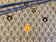 Tessuto di cotone - Peek-A-Boo nella foresta orso e procione grigio